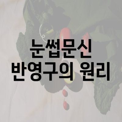 눈썹문신 반영구의 원리