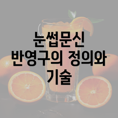 눈썹문신 반영구의 정의와 기술