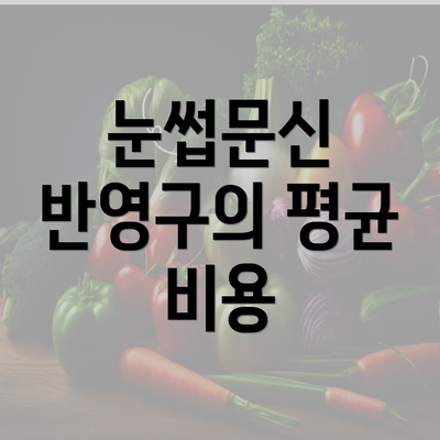 눈썹문신 반영구의 평균 비용