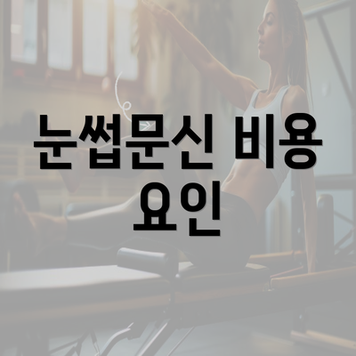 눈썹문신 비용 요인