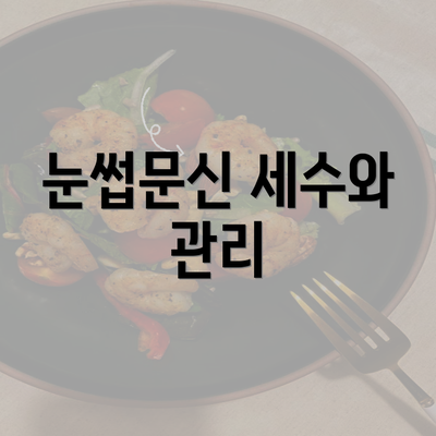 눈썹문신 세수와 관리