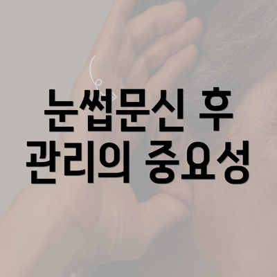 눈썹문신 후 관리의 중요성