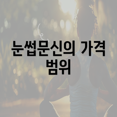 눈썹문신의 가격 범위