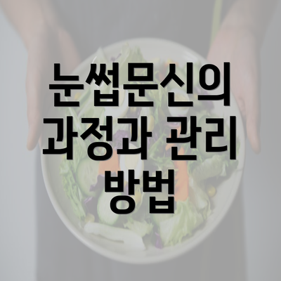 눈썹문신의 과정과 관리 방법