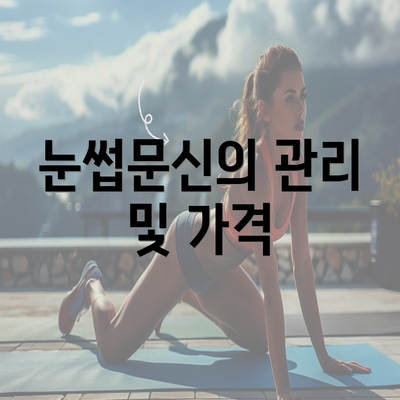 눈썹문신의 관리 및 가격