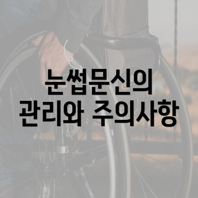 눈썹문신의 관리와 주의사항