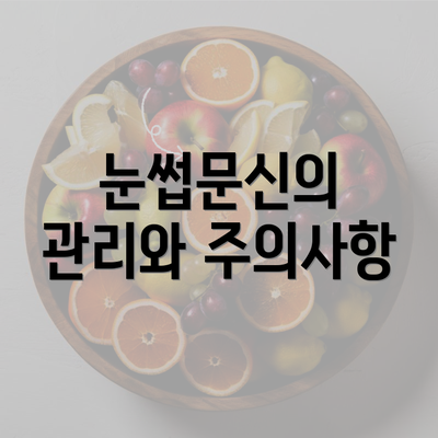 눈썹문신의 관리와 주의사항