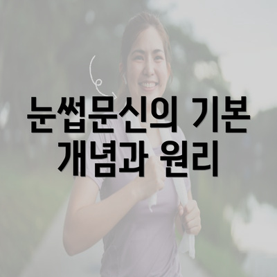 눈썹문신의 기본 개념과 원리