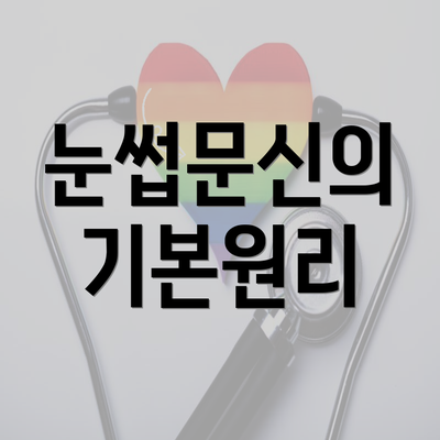 눈썹문신의 기본원리