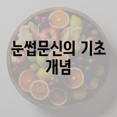 눈썹문신의 기초 개념