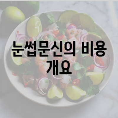 눈썹문신의 비용 개요