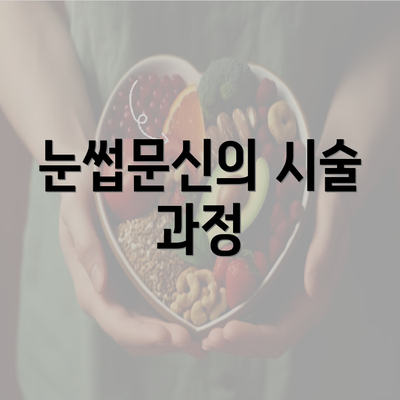 눈썹문신의 시술 과정