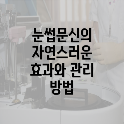 눈썹문신의 자연스러운 효과와 관리 방법