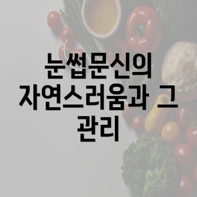 눈썹문신의 자연스러움과 그 관리