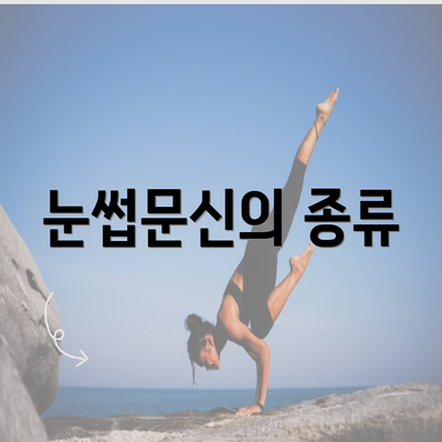 눈썹문신의 종류