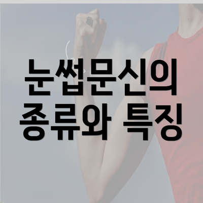 눈썹문신의 종류와 특징