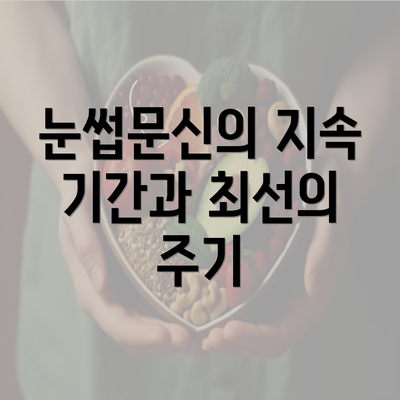 눈썹문신의 지속 기간과 최선의 주기