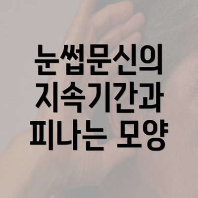 눈썹문신의 지속기간과 피나는 모양