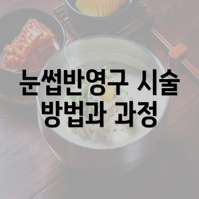 눈썹반영구 시술 방법과 과정