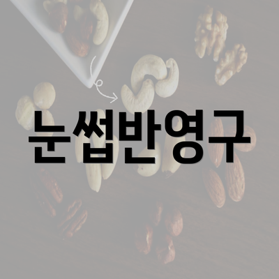 눈썹반영구