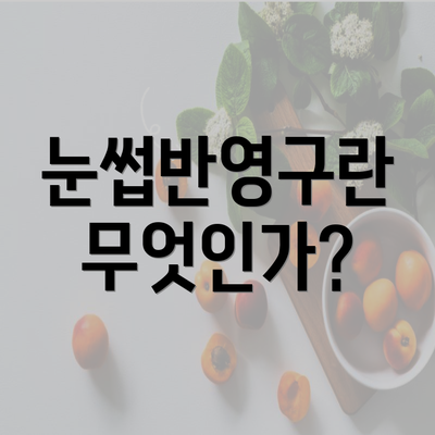 눈썹반영구란 무엇인가?