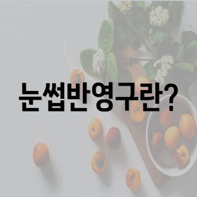 눈썹반영구란?