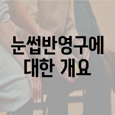 눈썹반영구에 대한 개요