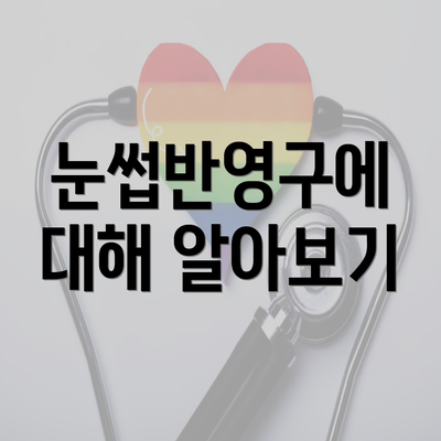 눈썹반영구에 대해 알아보기