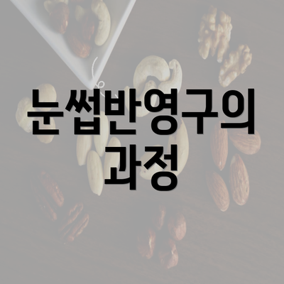 눈썹반영구의 과정