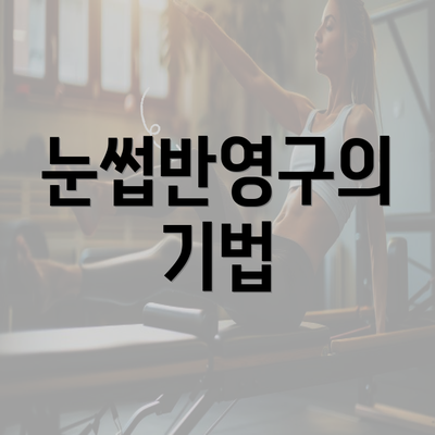 눈썹반영구의 기법