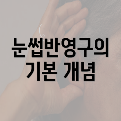 눈썹반영구의 기본 개념