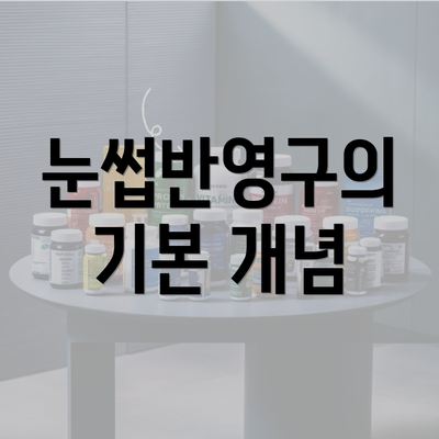 눈썹반영구의 기본 개념