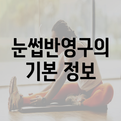 눈썹반영구의 기본 정보