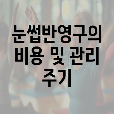 눈썹반영구의 비용 및 관리 주기