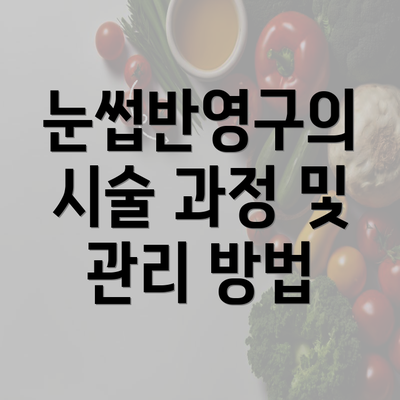 눈썹반영구의 시술 과정 및 관리 방법