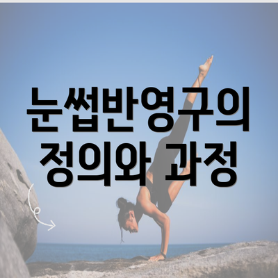 눈썹반영구의 정의와 과정