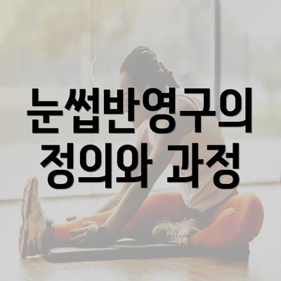 눈썹반영구의 정의와 과정