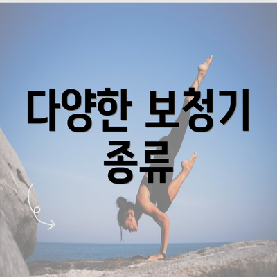 다양한 보청기 종류