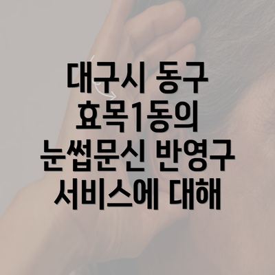 대구시 동구 효목1동의 눈썹문신 반영구 서비스에 대해