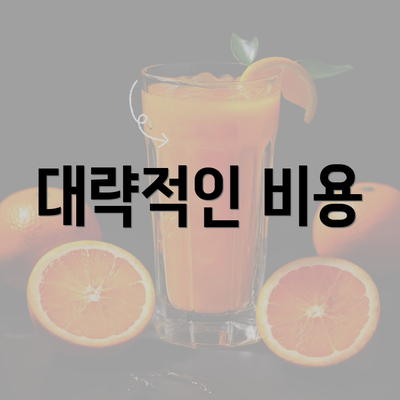 대략적인 비용