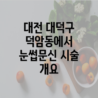 대전 대덕구 덕암동에서 눈썹문신 시술 개요