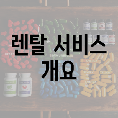 렌탈 서비스 개요