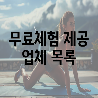 무료체험 제공 업체 목록