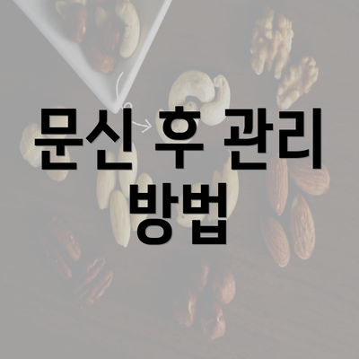 문신 후 관리 방법