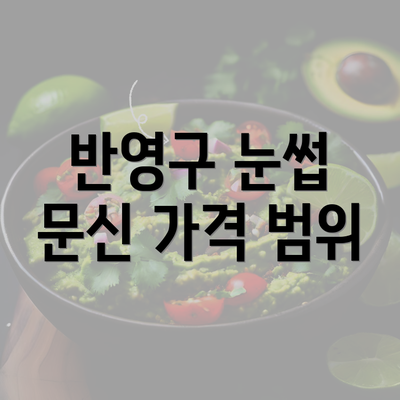 반영구 눈썹 문신 가격 범위