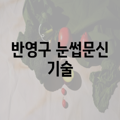 반영구 눈썹문신 기술