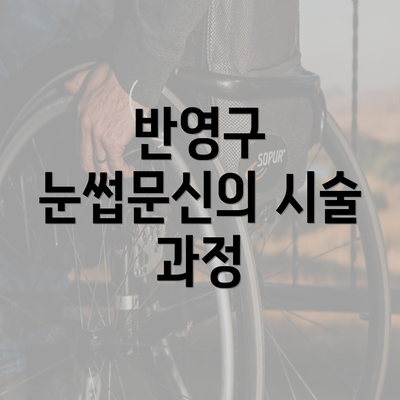 반영구 눈썹문신의 시술 과정