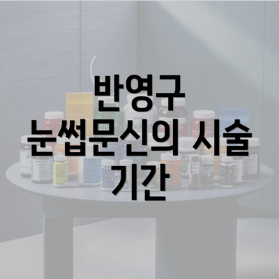 반영구 눈썹문신의 시술 기간