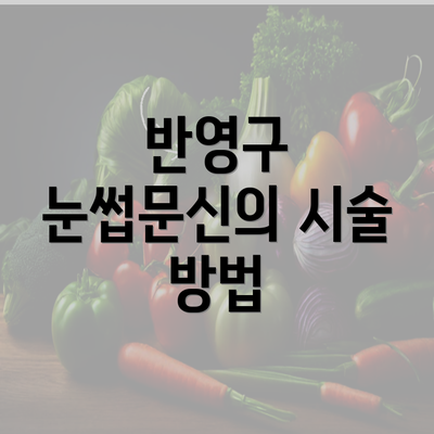 반영구 눈썹문신의 시술 방법