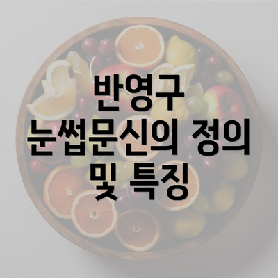 반영구 눈썹문신의 정의 및 특징